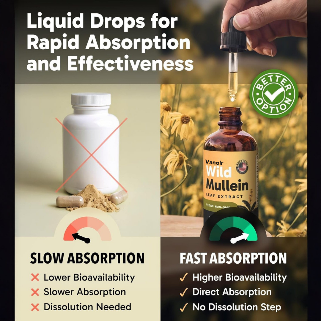 New Maximum Potency Mullein Drops For Cough Control & Lung Rejuvenation