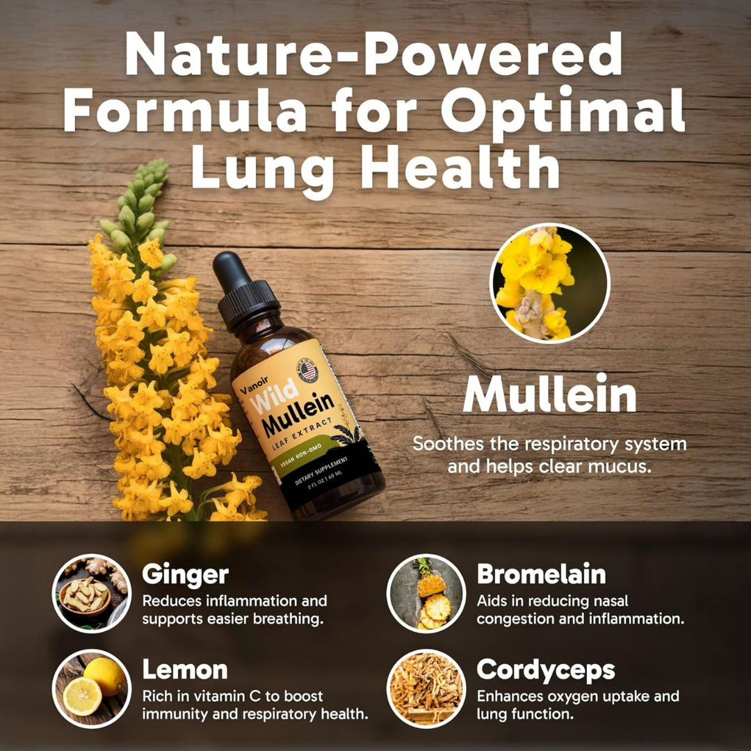 New Maximum Potency Mullein Drops For Cough Control & Lung Rejuvenation