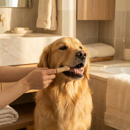 Dog Tooth Brush VIP
