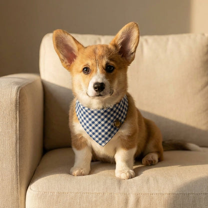 Pet Bandana Set VIP