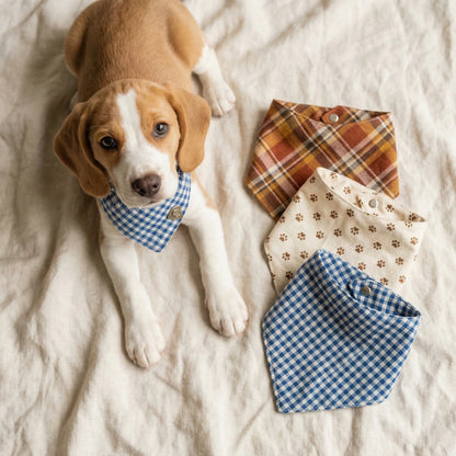 Beagle puppy wearing bandana with three-pack bandana set on linen