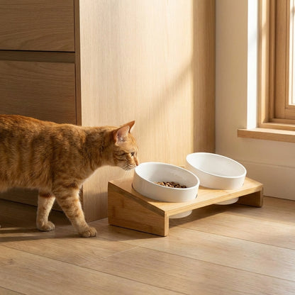 Elevated Pet Food Bowl Set