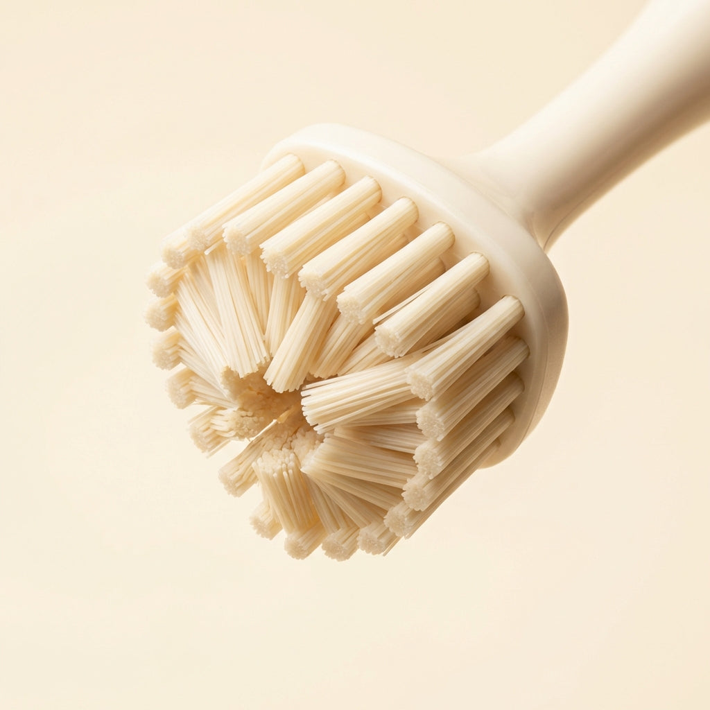 dog brush detail