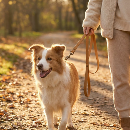 Waterproof Dog Leash VIP